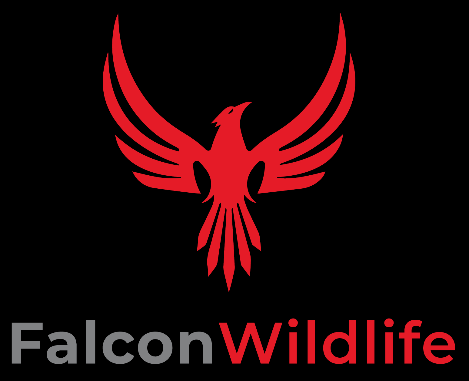 Falcon Wildlife LLC